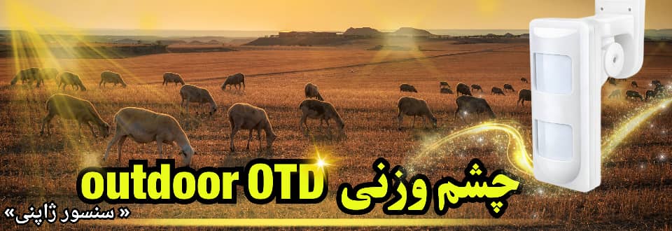 چشم وزنی